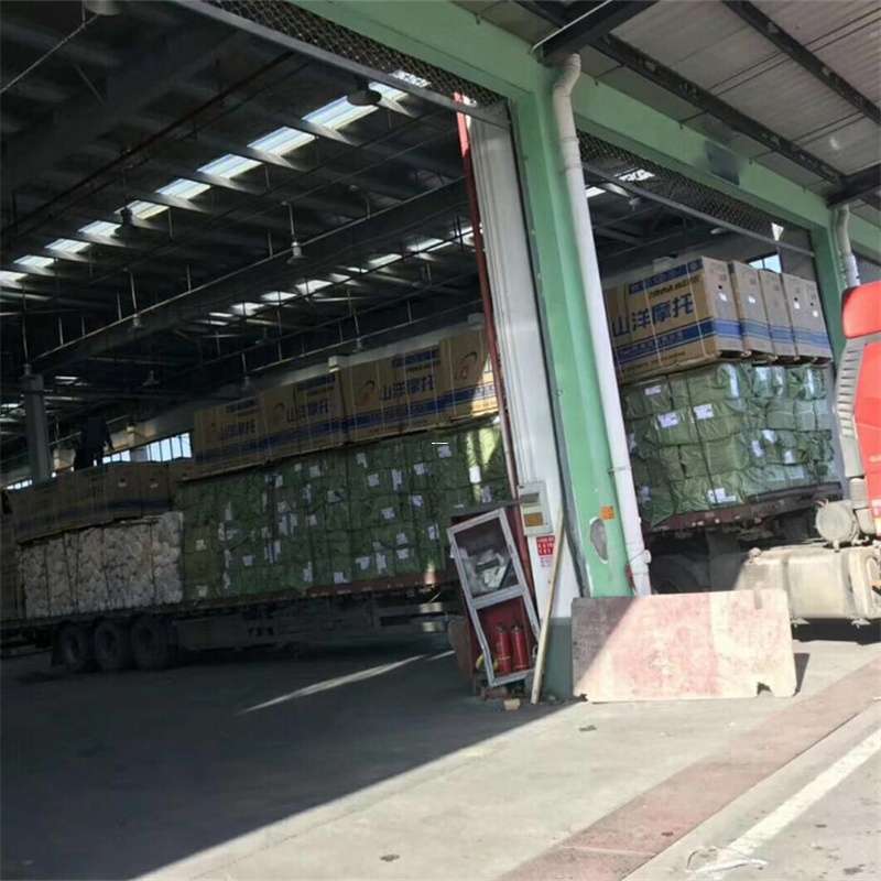 大成镇隆子县：物流专线的高效货运之旅